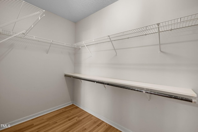 100 W Acres Cres, Cary, NC 27519 - spacious closet with light wood-style floors