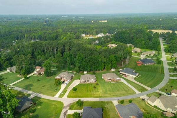 328 Bryerstone Dr, Willow Springs, NC 27592 - photo 29