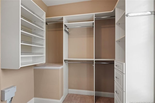 259 Rolling Pines Dr, Spring Lake, NC 28390 - view of spacious closet