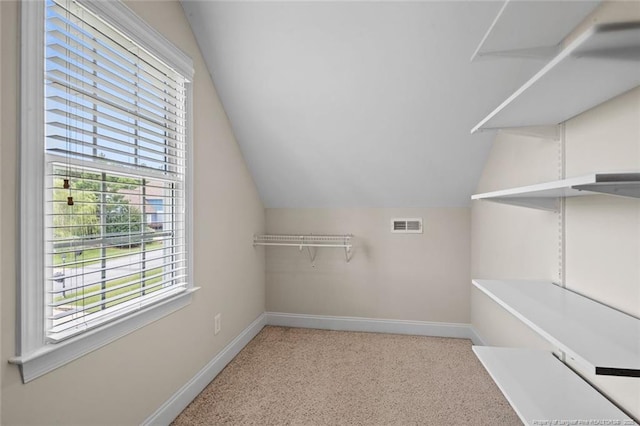 259 Rolling Pines Dr, Spring Lake, NC 28390 - spacious closet with vaulted ceiling and carpet flooring