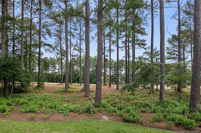 259 Rolling Pines Dr, Spring Lake, NC 28390 - view of yard