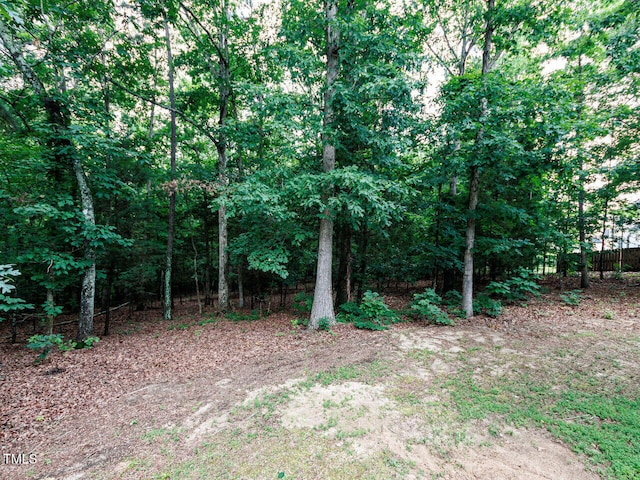 604 Doddington Dr, Rolesville, NC 27571 - photo 39