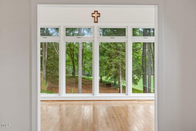 1120 Colonial Club Rd, Wake Forest, NC 27587 - doorway to outside featuring hardwood / wood-style flooring and plenty of natural light