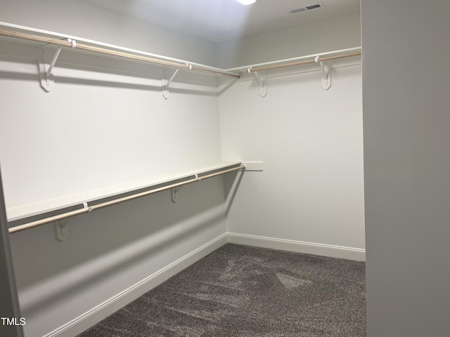 3204 Overlook Ct, Burlington, NC 27215 - spacious closet with dark carpet