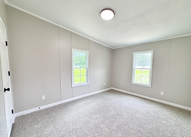6283 US-258, Tarboro, NC 27886 - empty room with crown molding, a textured ceiling, healthy amount of natural light, carpet flooring, and a decorative wall