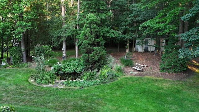 5920 Two Pines Trl, Wake Forest, NC 27587 - view of green lawn