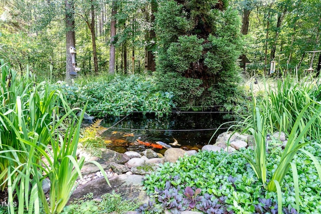 5920 Two Pines Trl, Wake Forest, NC 27587 - view of local wilderness