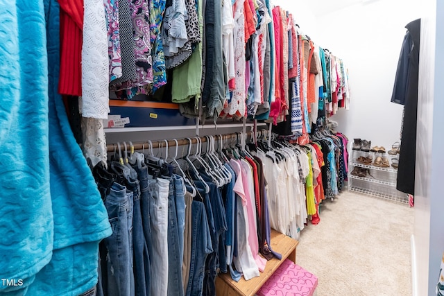 5920 Two Pines Trl, Wake Forest, NC 27587 - spacious closet with carpet