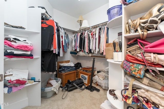 5920 Two Pines Trl, Wake Forest, NC 27587 - walk in closet featuring carpet