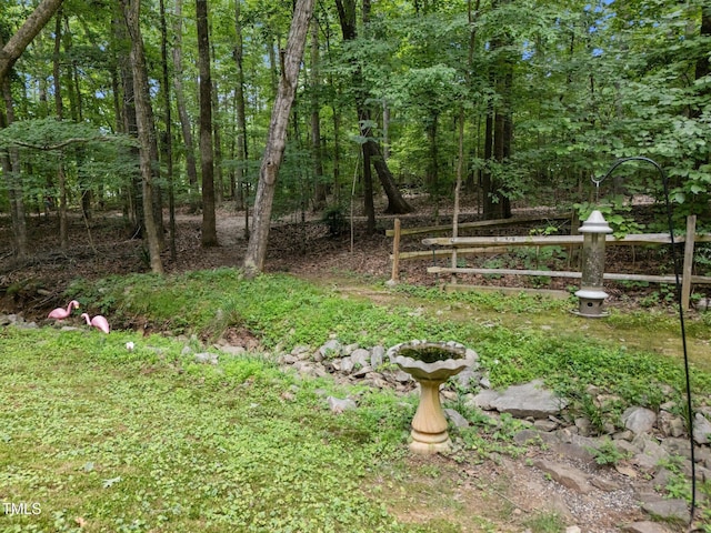 308 Trappers Sack Rd, Cary, NC 27513 - view of yard
