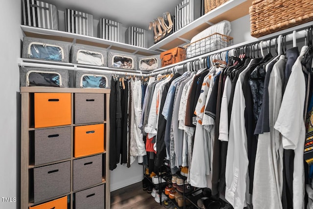 611 Quartz Dr, Durham, NC 27703 - walk in closet with dark wood-style flooring