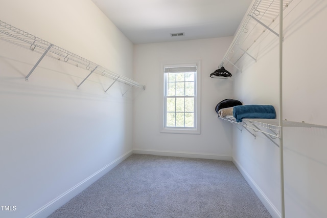 9701 Corktree Ct, Wake Forest, NC 27587 - walk in closet featuring carpet flooring