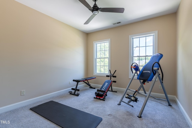 9701 Corktree Ct, Wake Forest, NC 27587 - workout area with carpet and a ceiling fan
