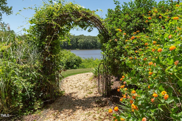 9701 Corktree Ct, Wake Forest, NC 27587 - water view
