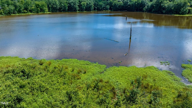 9701 Corktree Ct, Wake Forest, NC 27587 - water view with a forest