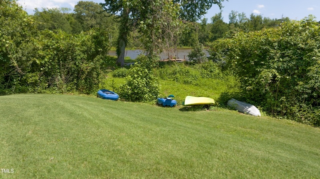 9701 Corktree Ct, Wake Forest, NC 27587 - view of grassy yard