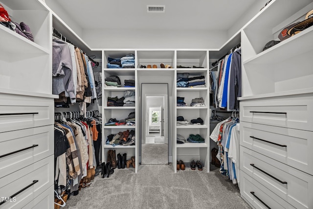 2321 Blue Crab Ct, Wake Forest, NC 27587 - walk in closet with carpet floors
