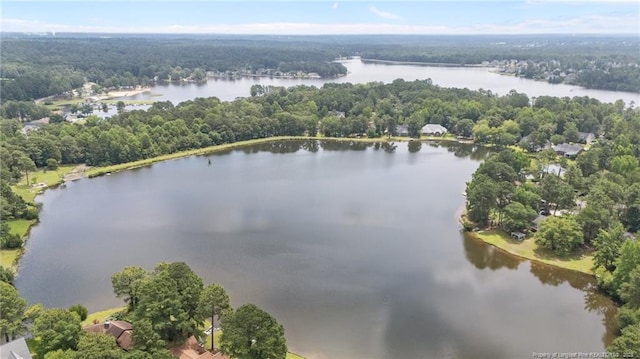 40 Blue Heron Ct, Sanford, NC 27332 - aerial view of a heavily wooded area and a nearby body of water