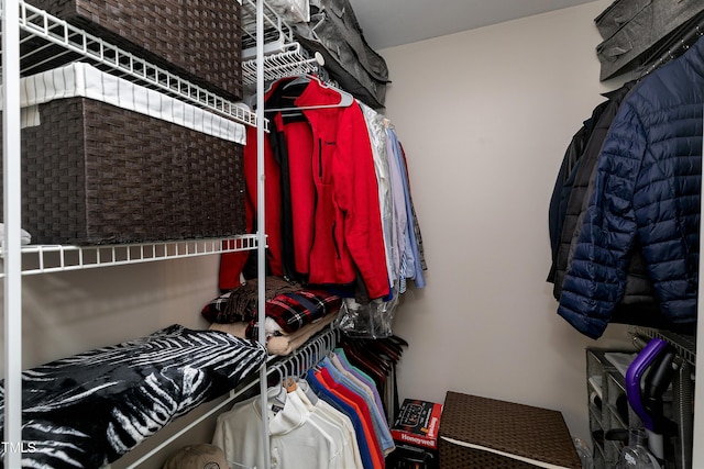 627 New Rd, Raleigh, NC 27608 - view of walk in closet