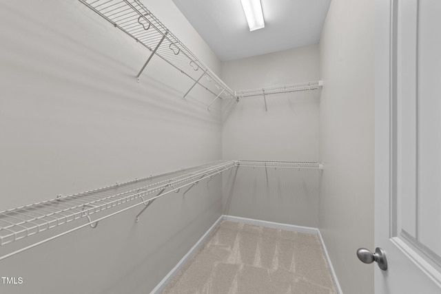 119 Yadkin St, Clayton, NC 27520 - walk in closet with carpet flooring