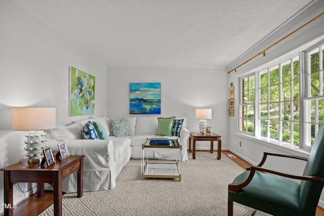 926 Wimbleton Dr, Raleigh, NC 27609 - living room with ornamental molding, wood finished floors, and a textured ceiling