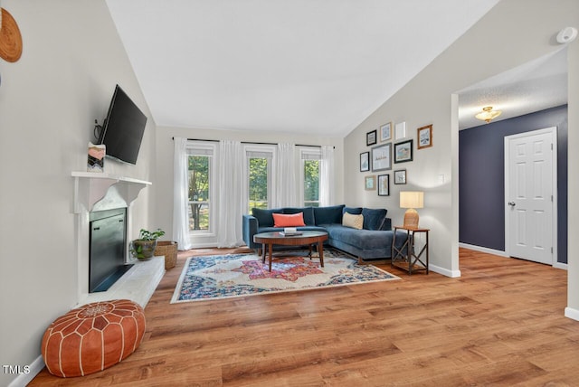 810 Royal Oaks Dr, Durham, NC 27712 - living room featuring vaulted ceiling, wood finished floors, and a glass covered fireplace