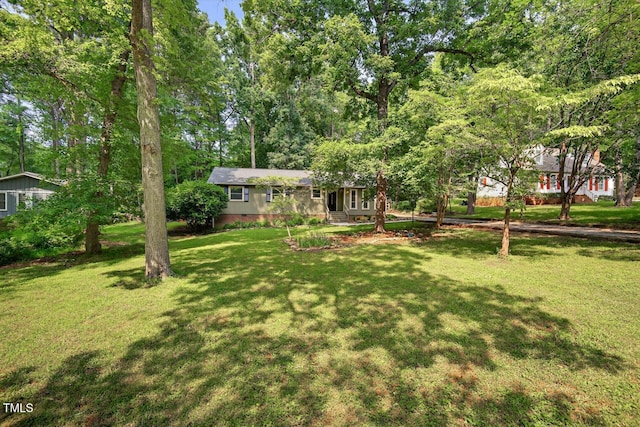 810 Royal Oaks Dr, Durham, NC 27712 - view of green lawn