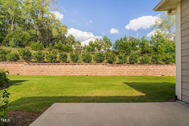1019 Santiago St, Durham, NC 27703 - view of green lawn featuring a patio area