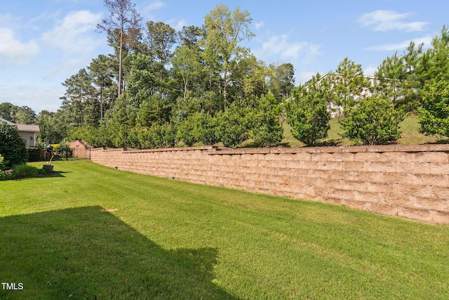 1019 Santiago St, Durham, NC 27703 - view of yard