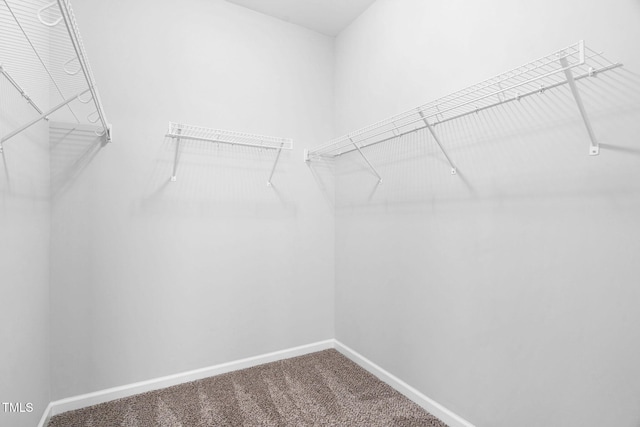 1019 Santiago St, Durham, NC 27703 - spacious closet with carpet floors