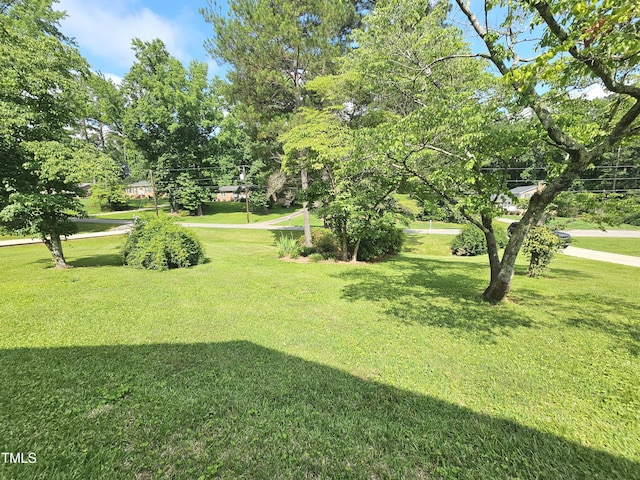 112 Saddletree Rd, Oxford, NC 27565 - view of grassy yard with view of scattered trees