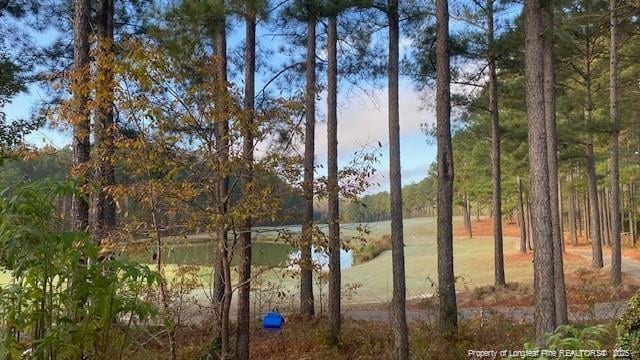 82 Pine Hawk Dr, Spring Lake, NC 28390 - photo 7