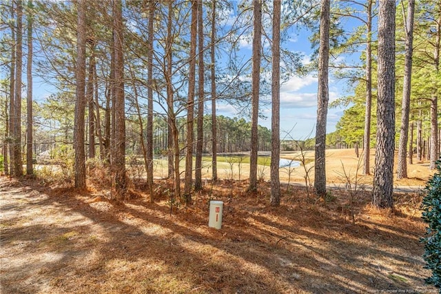82 Pine Hawk Dr, Spring Lake, NC 28390 - photo 14
