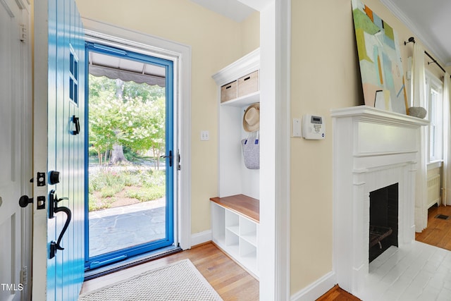 1007 W Markham Ave, Durham, NC 27701 - mudroom featuring light wood-style flooring and a fireplace