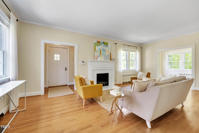 1007 W Markham Ave, Durham, NC 27701 - living room with radiator, crown molding, plenty of natural light, and light wood-type flooring