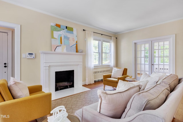 1007 W Markham Ave, Durham, NC 27701 - living area with radiator heating unit, crown molding, wood finished floors, and a fireplace with flush hearth