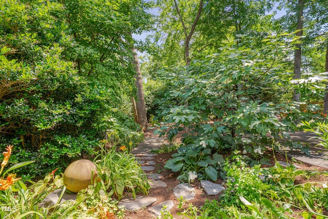 1007 W Markham Ave, Durham, NC 27701 - view of undeveloped land