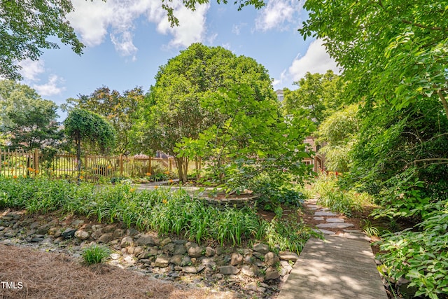 1007 W Markham Ave, Durham, NC 27701 - view of yard