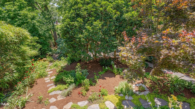 1007 W Markham Ave, Durham, NC 27701 - view of yard