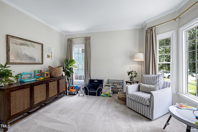 8841 Deerland Grove Dr, Raleigh, NC 27615 - living area featuring ornamental molding and carpet floors