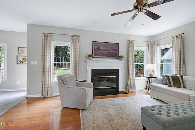 8841 Deerland Grove Dr, Raleigh, NC 27615 - living room featuring ceiling fan, plenty of natural light, a fireplace with flush hearth, and wood finished floors
