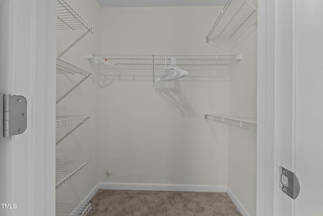 667 Bartons Lndg Unit 8, Fayetteville, NC 28314 - walk in closet with carpet floors