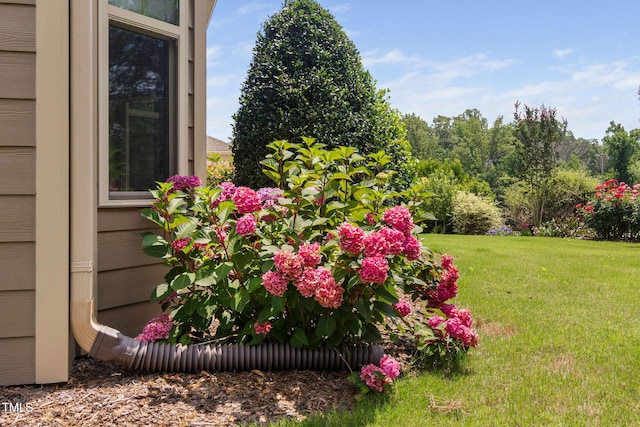 1523 Anthology Dr, Durham, NC 27703 - view of green lawn