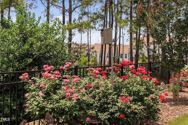 1523 Anthology Dr, Durham, NC 27703 - view of home's community
