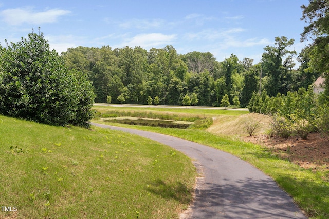 1523 Anthology Dr, Durham, NC 27703 - view of home's community