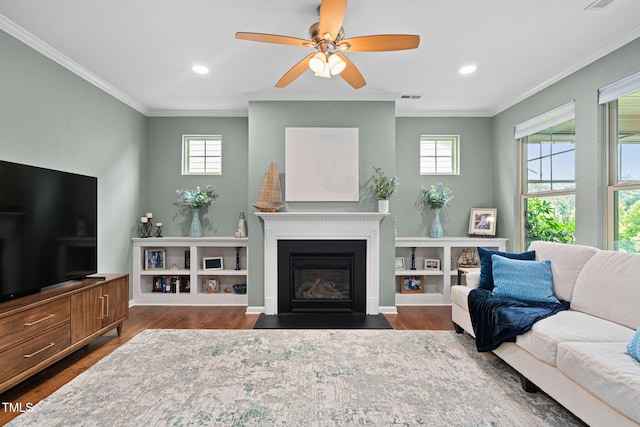 1523 Anthology Dr, Durham, NC 27703 - living room featuring plenty of natural light, crown molding, dark wood-style floors, ceiling fan, and a fireplace with flush hearth