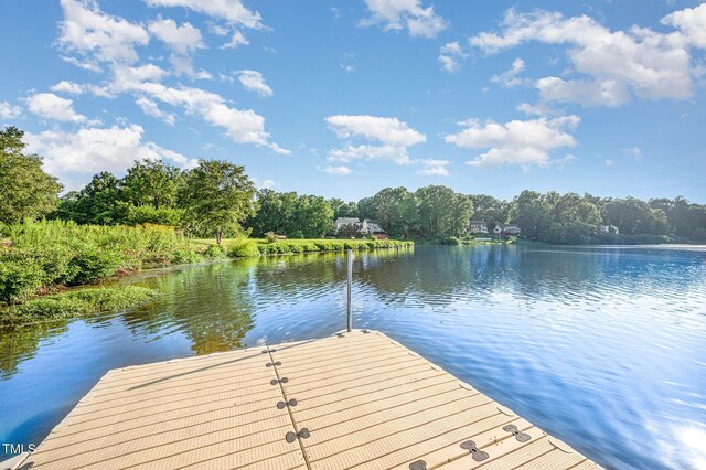 225 Clancy Cir, Cary, NC 27511 - photo 23