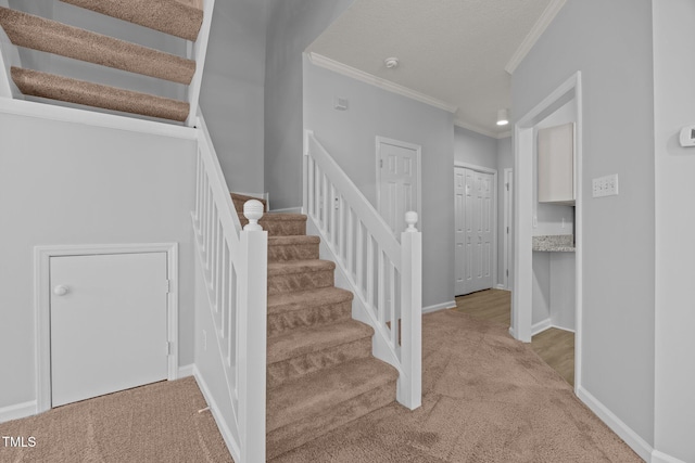 4406 Still Pines Dr, Raleigh, NC 27613 - stairway with ornamental molding and carpet