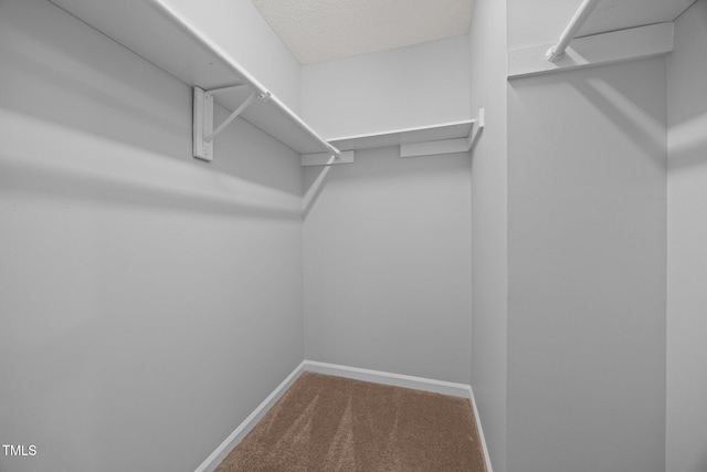 4406 Still Pines Dr, Raleigh, NC 27613 - spacious closet featuring carpet flooring