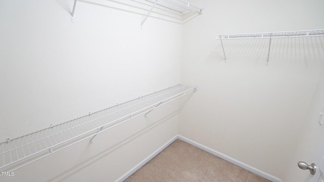 5916 Longeria Ct, Raleigh, NC 27612 - spacious closet with light colored carpet